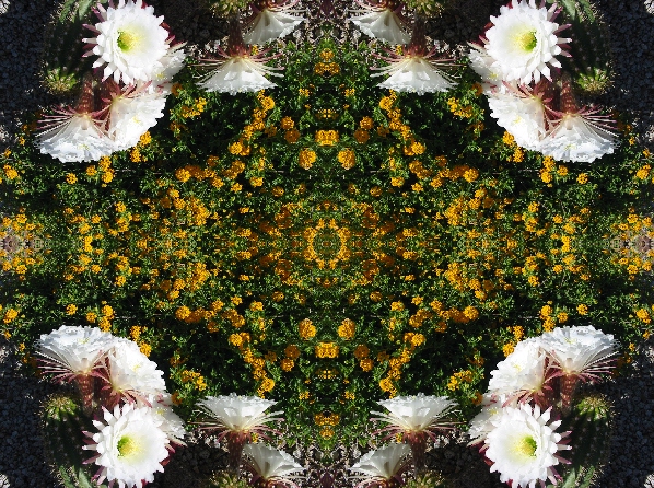 stainless steel kaleidoscope oil filled stainless steel kaleidoscope oil filled